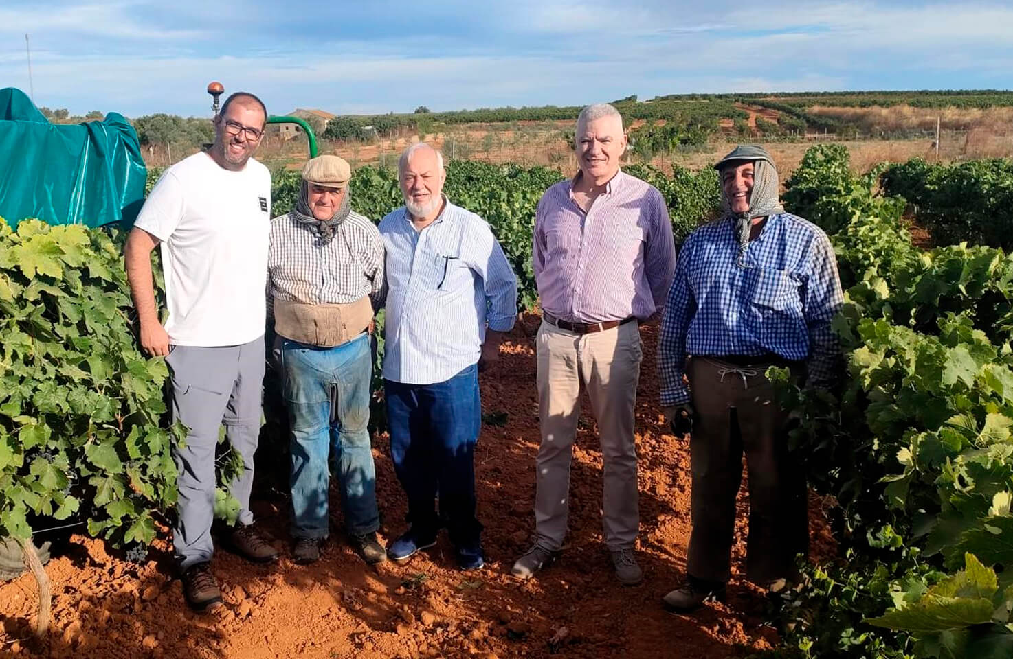 Manuel Infante y Manuel Barrera (en el centro) durante su visita a la vendimia de la uva tinta en Rociana del Condado.