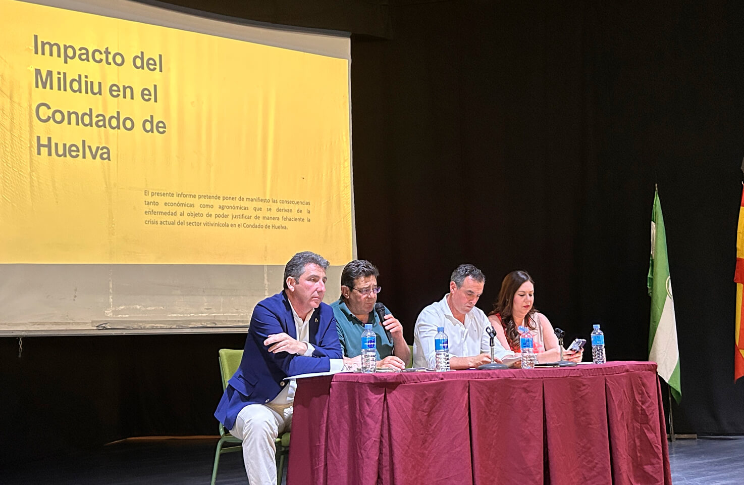 El delegado territorial de Agricultura, el presidente del Consejo Regulador, el alcalde de Bollullos par del Condado, y la vicepresidenta de la Diputación Provincial de Huelva, expusieron las diferentes medidas que van a adoptar a corto plazo contra los efectos del mildium-