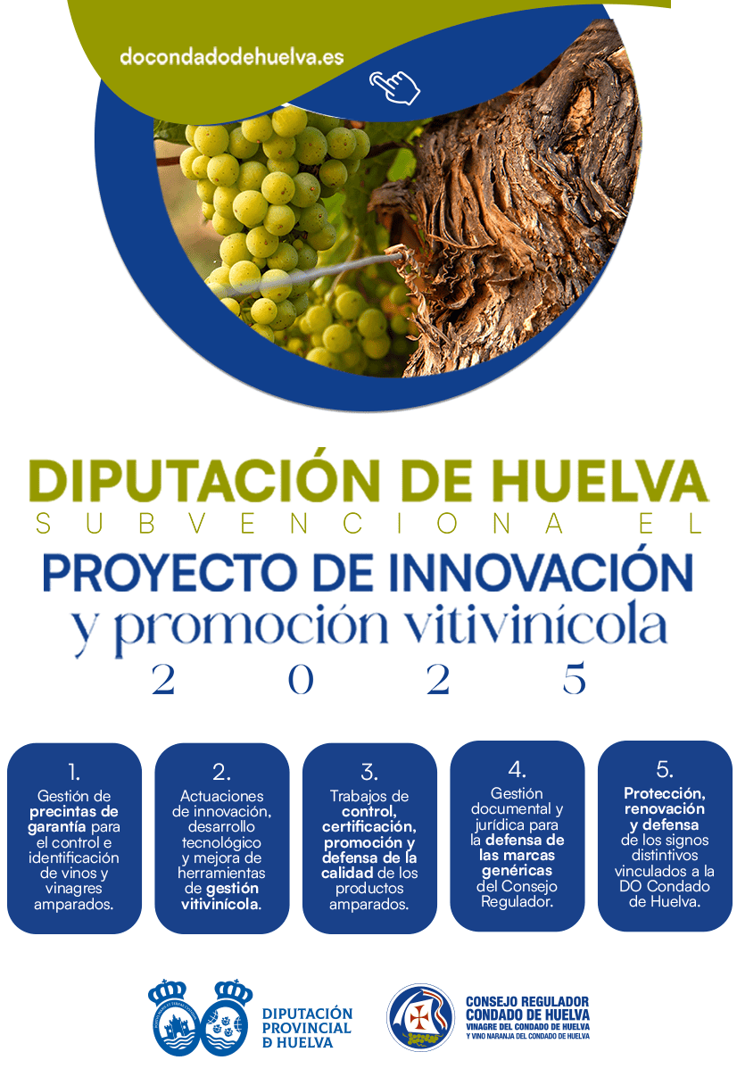 ProyectoInnovacionDiputacion